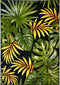160x230 / Verde