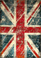 120x170 / Gri