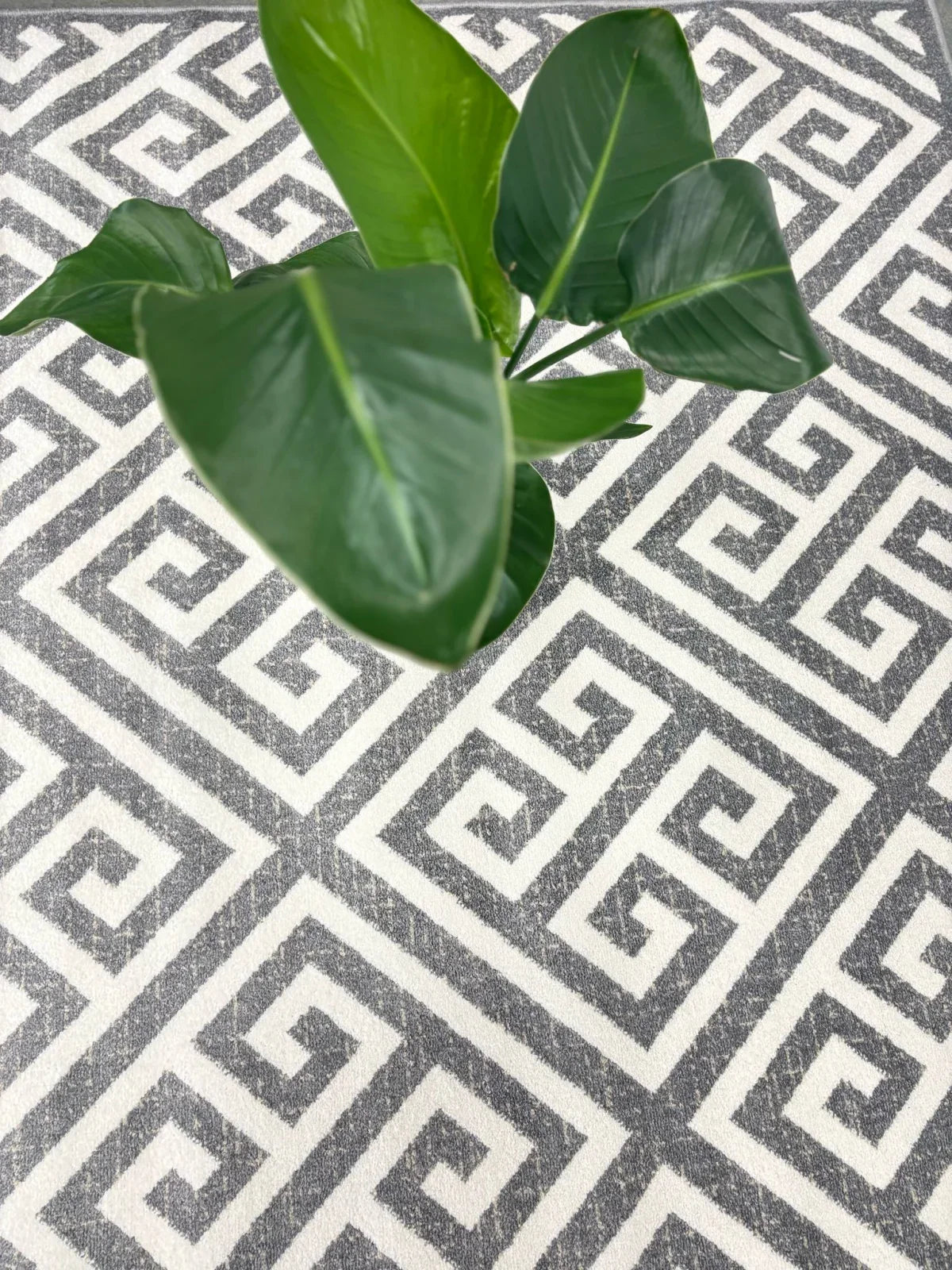 Covor gri modern cu model meandru geometric pentru living