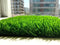 Verde / 100 cm / 200 cm