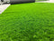 Verde / 200 cm / 200 cm
